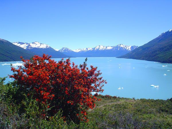 Lago Argentino