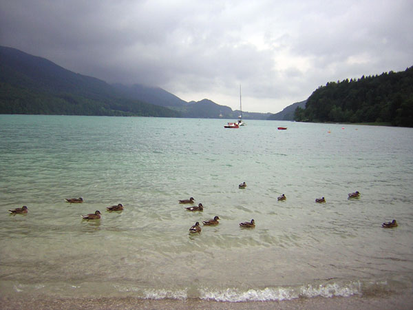 Fuschsee