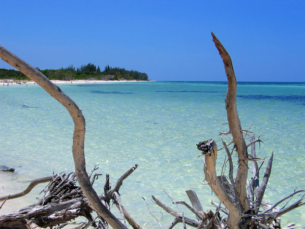 Cayo Levisa