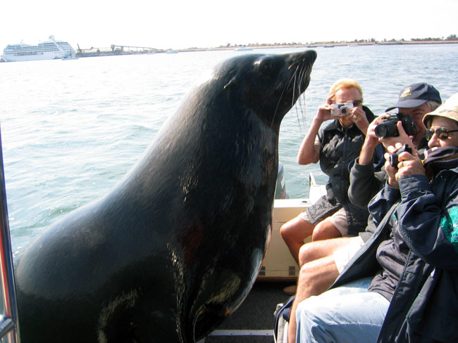 In barca sull'oceano, visite a bordo