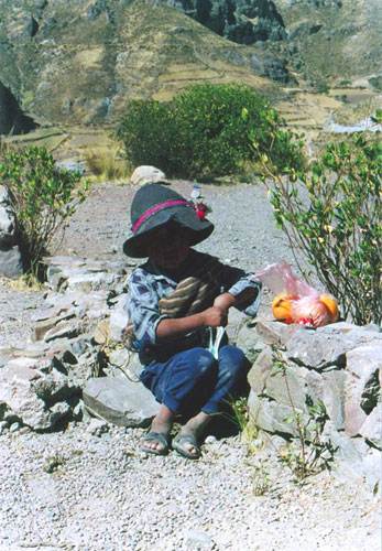 Bimbo al Colca Caon 