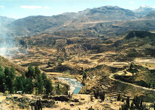 Colca-Canyon