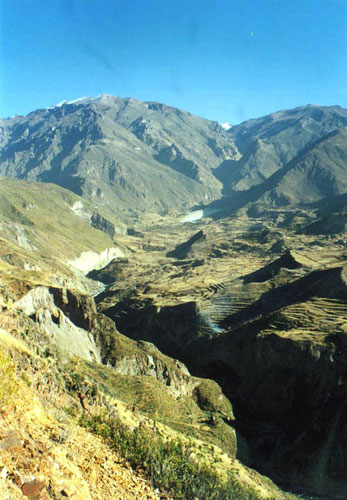 Colca Caon