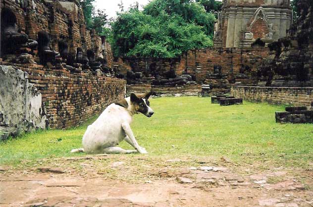 Thailandia, Ayutthaya