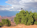 Canyonlands