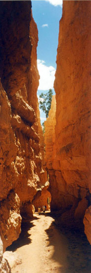 Utah - Bryce Canyon