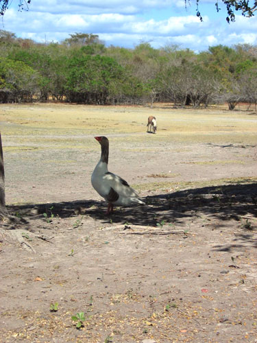 Chapada Diamantina