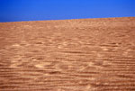 Dune di sabbia a Punta Preta