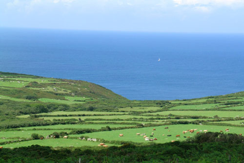 Cornwall landscape 