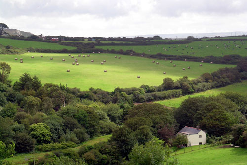 Cornwall landscape