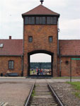 Birkenau 