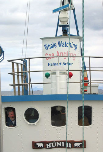 Whale watching