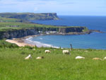 White park bay