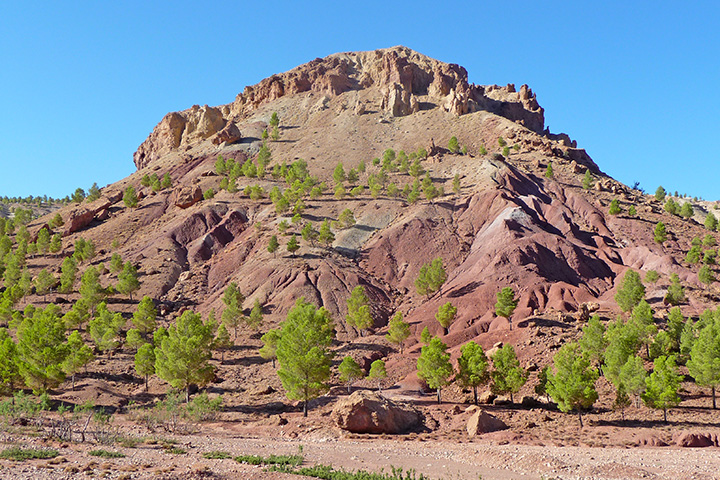 roccia e alberi