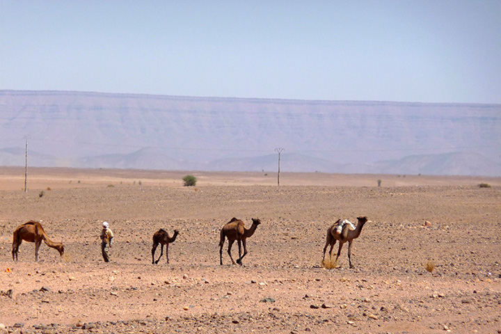 foto marocco in bici