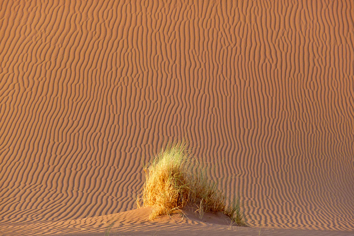 foto marocco in bici