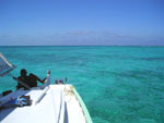 Caye Caulker