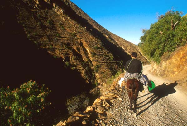 real de catorce verso il deserto