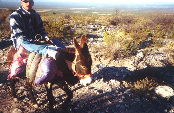 real de catorce desert