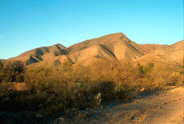 Zacatecas