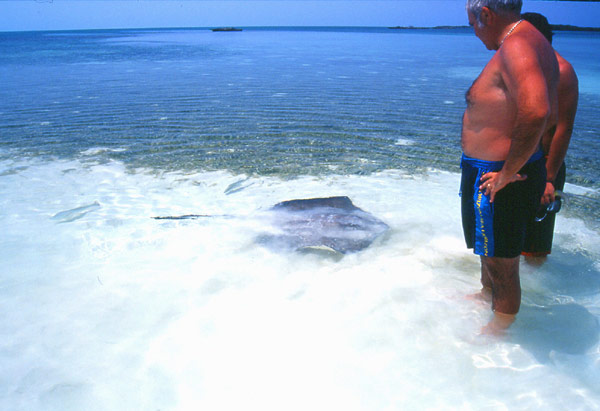 Isla Mujeres