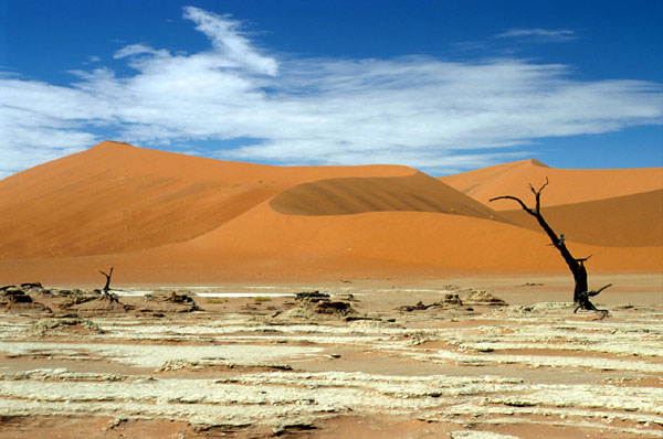 Dead Vlei