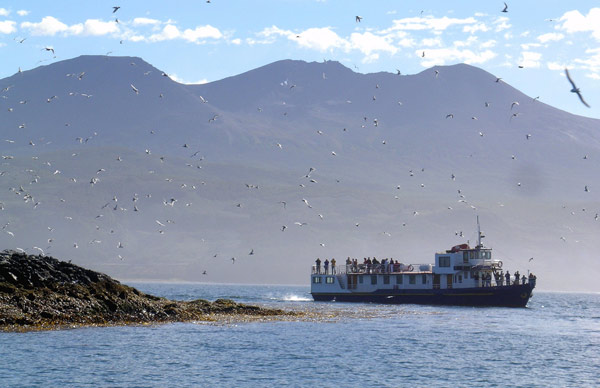 Canale di Beagle -Isla de los Pajaros