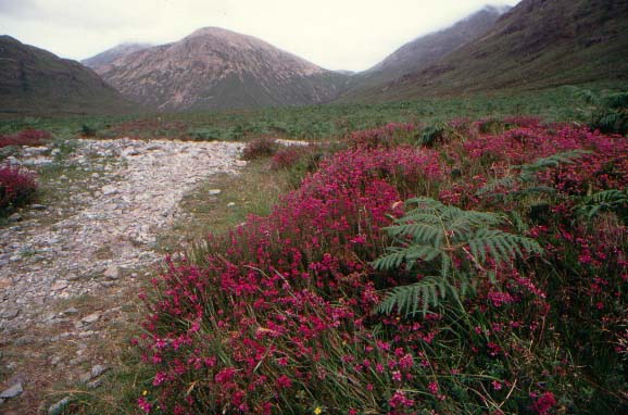 Isola di Skye